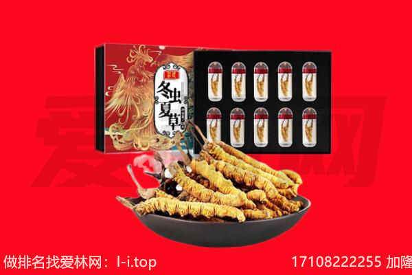山南乃东区回收虫草.jpg